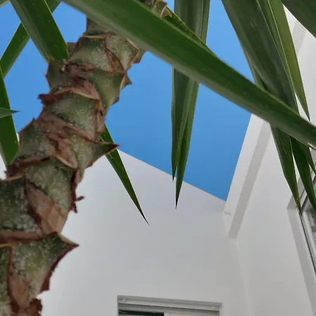 Casa Do Patio 公寓 拉哥斯